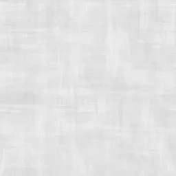 Delight Store White Linen main texture preview