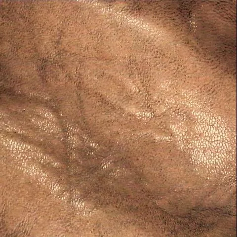 Hide4 main texture preview