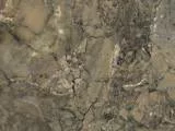 S S Benedeti main texture preview