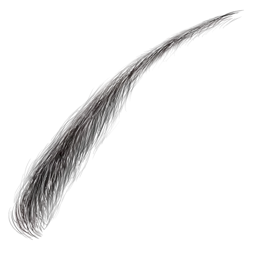 Eyebrow008 main texture preview