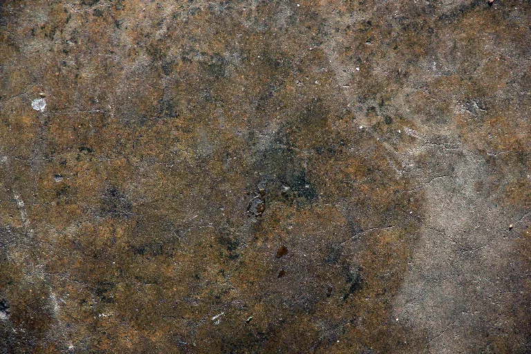 8 main texture preview