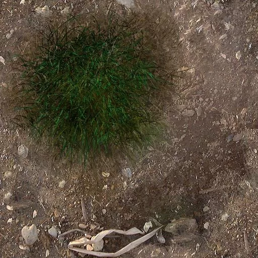 Herbe 9 main texture preview