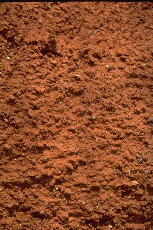 I M G0036 main texture preview