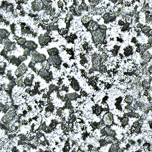 Diffuse / Color for Snowy01 A