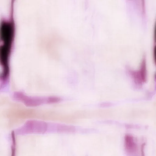 Torley Com Lynchian Serenade Png By The One And Only Torley (Cc By) main texture preview