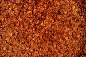 Cork main texture preview