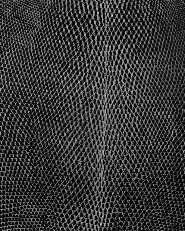 D36 Lizard Skin main texture preview