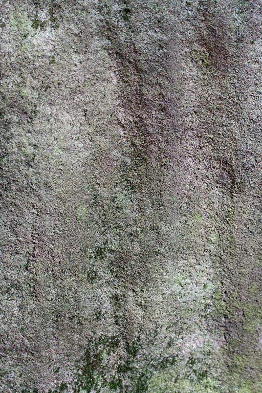 Img 0273 main texture preview