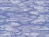 S S Natur17L main texture preview