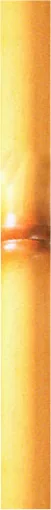 Bamboo Pole 2 main texture preview