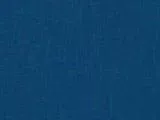 S S Bluepatc main texture preview