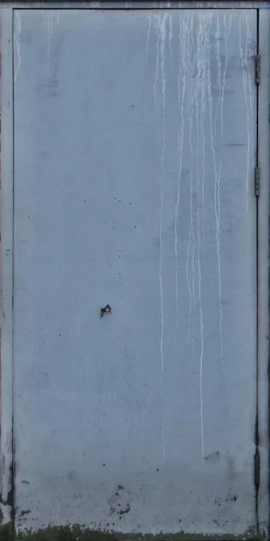 Door Wood Dirty main texture preview