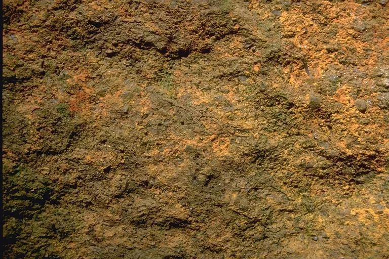 I M G0041 main texture preview