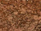 S S Gross main texture preview