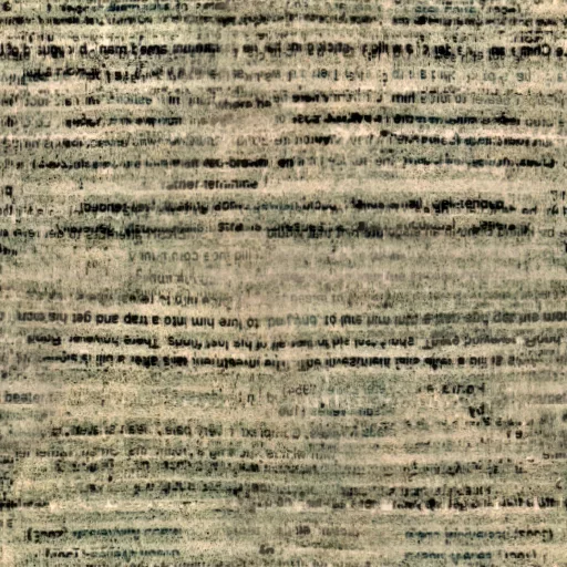 Torley Com Carpet Beater Png By The One And Only Torley (Cc By) main texture preview