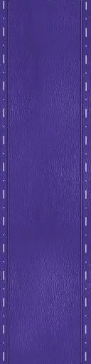 Dark Purple Leather Strap 3 main texture preview