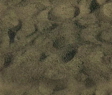 Sand T main texture preview