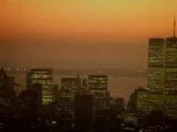 S S City New York main texture preview