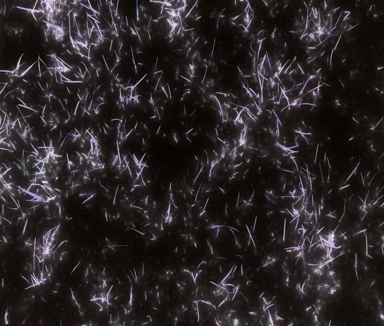 Snowy Grass22 main texture preview