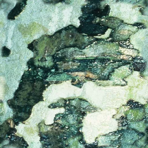 Bark004 main texture preview