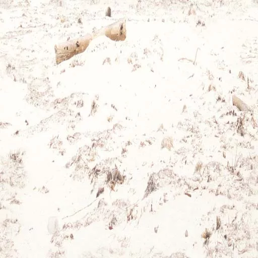 Sand 048 main texture preview