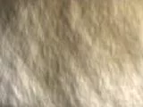 S S Applcor2 main texture preview