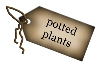 Tag Potted Plants main texture preview