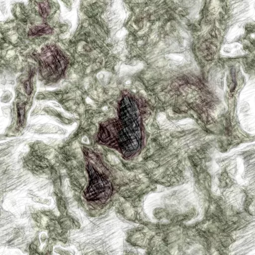 Torley Com Charted Png By The One And Only Torley (Cc By) main texture preview