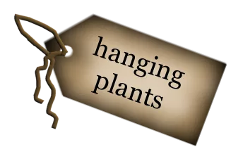 Tag Hanging Plants main texture preview