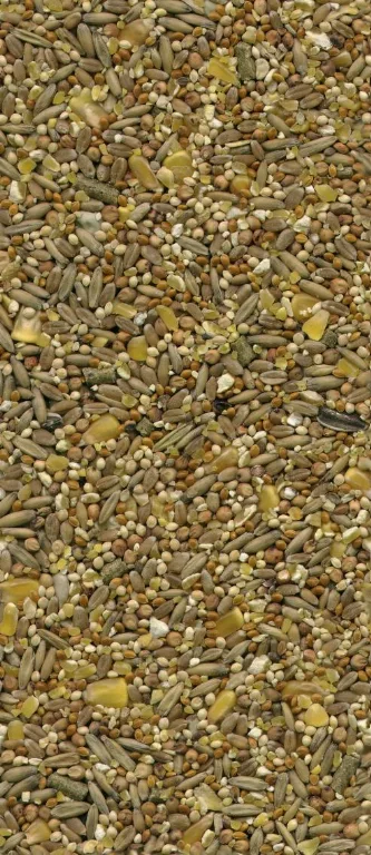 Birdfeed main texture preview