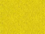 S S Beeyello main texture preview