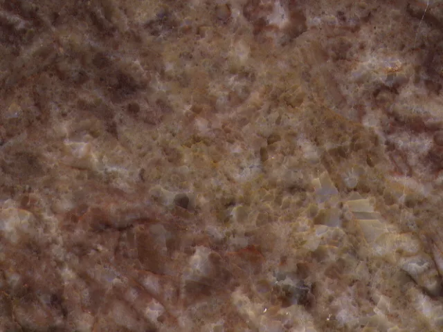 Blossom main texture preview