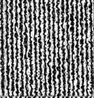 Weavy2 main texture preview
