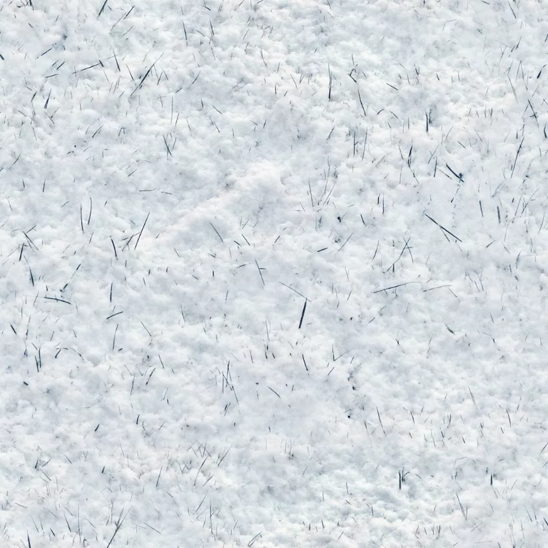 Snow Grass Blades main texture preview