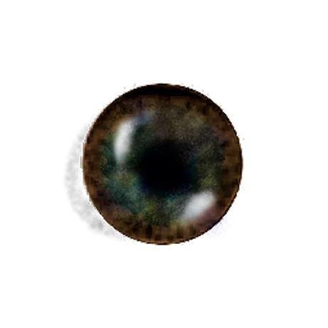 Eye Muddy main texture preview