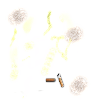 Pee And Cigarette Butts main texture preview