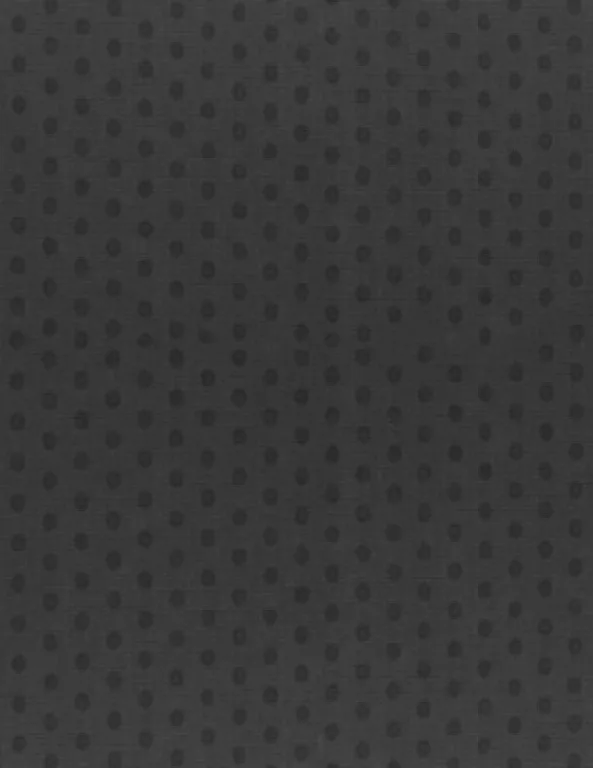 Jacey Dotted Charcoal By Linda Kellie main texture preview