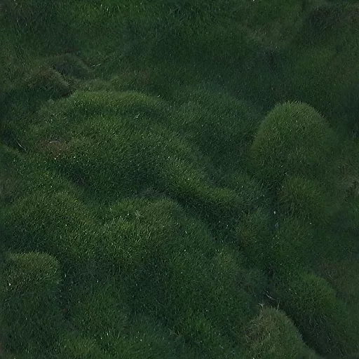 Sunny Dark Clumpy Grass main texture preview