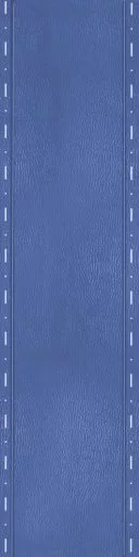 Blue Leather Strap 3 main texture preview