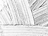 S S Plasters main texture preview