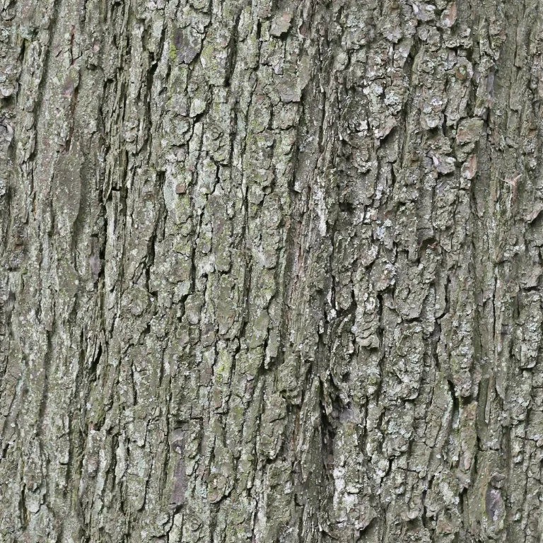 Linolafett Cc 25Kgcem main texture preview