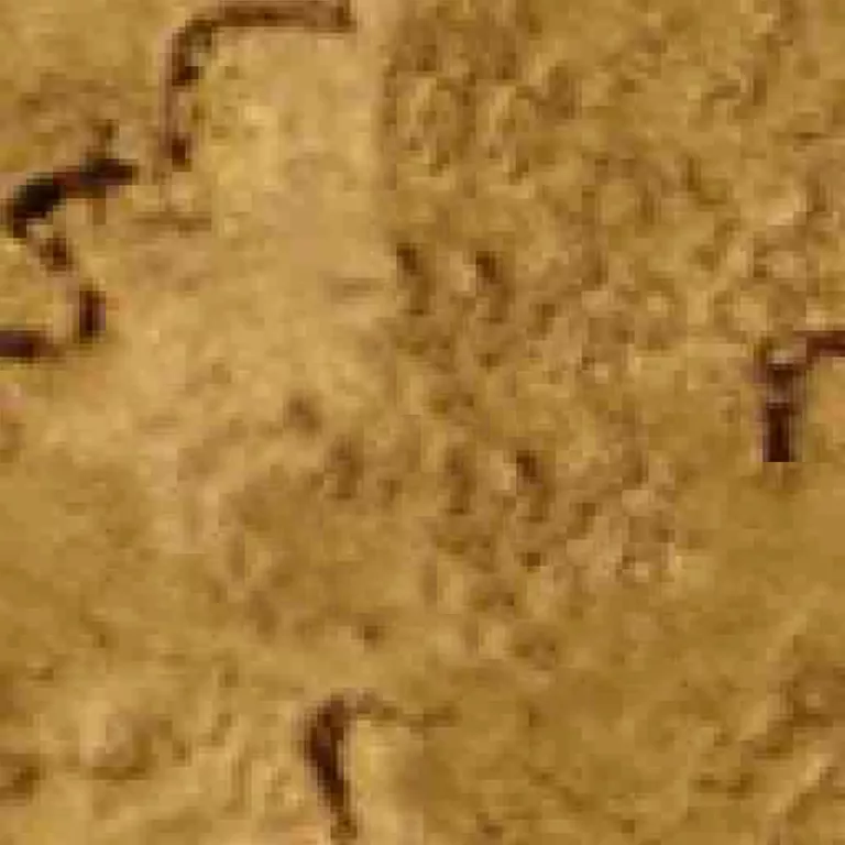 Bone512 main texture preview