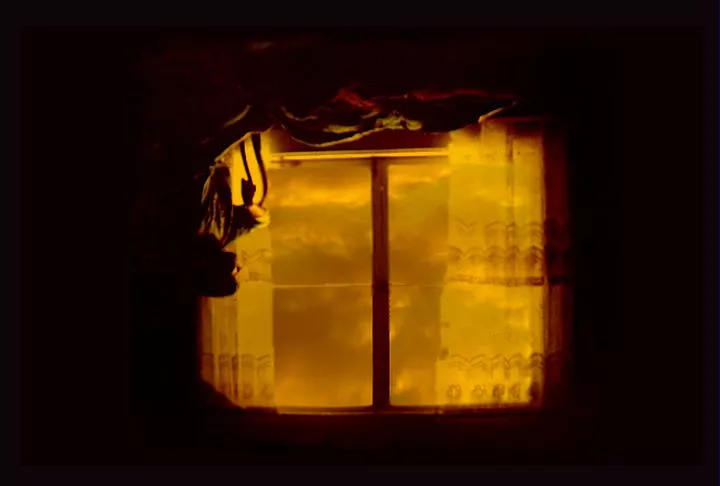 Tran Window main texture preview
