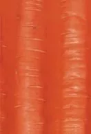 Jacey Snowman Carrot Texture main texture preview