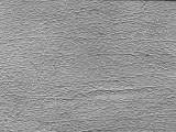 S S Buffalo main texture preview