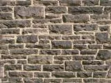 S S Tex 022 main texture preview