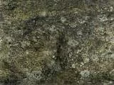 S S Stone3 T main texture preview