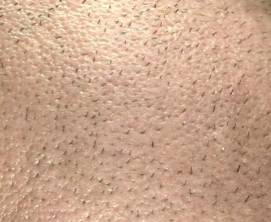 Stubble main texture preview