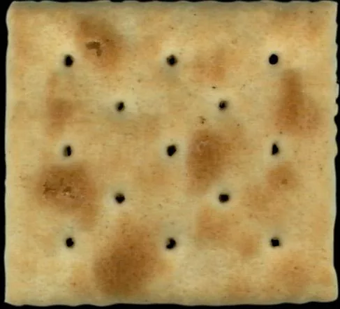 Cracker1 main texture preview