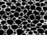 S S Lizbump main texture preview